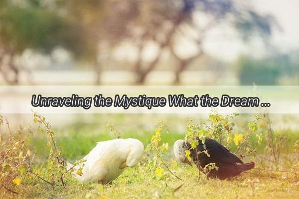 Unraveling the Mystique What the Dream of a Little White Snake Reveals About Your Babys Fate According to Zhougongs Dream Interpretation